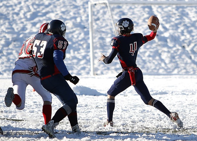 猛龙战胜开拓者终止两连败，成为本赛季第四支取得15个胜场球队