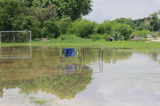 奇才vs凯尔特人伤情报告：萨尔&基斯珀特&约翰逊等缺阵